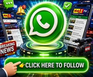 spot_img